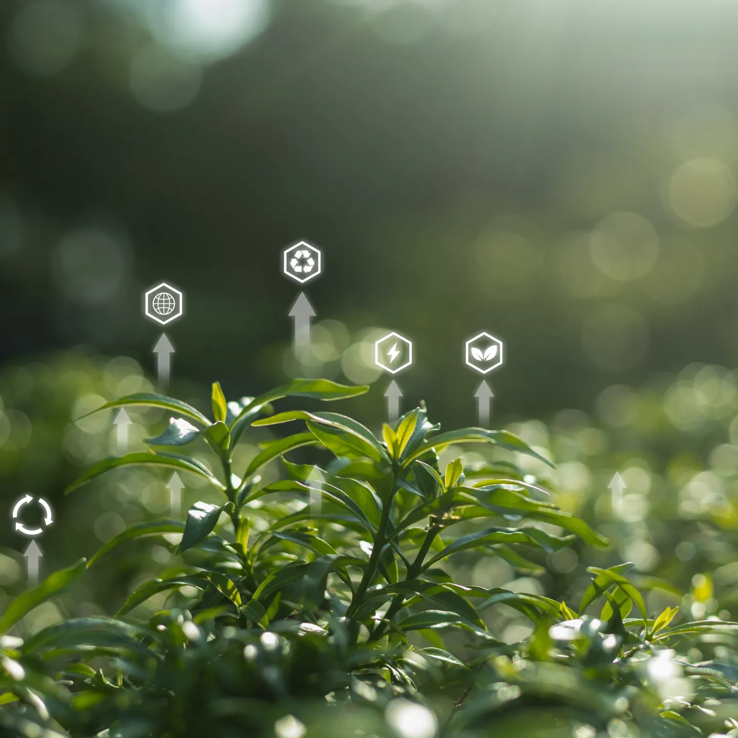 Sustainability applied to building systems